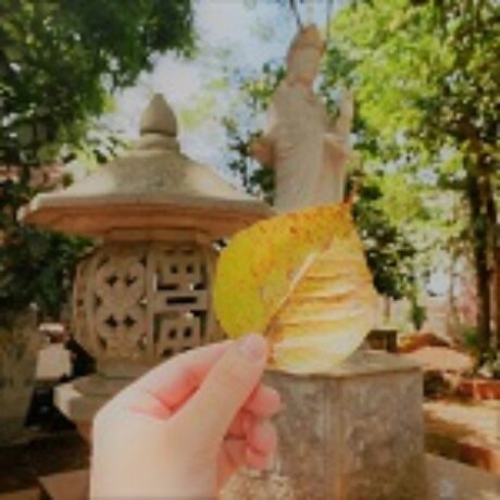 Ảnh hồ sơ của Gia Bảo